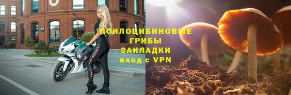 ПСИЛОЦИБИНОВЫЕ ГРИБЫ Медногорск