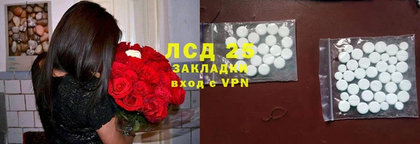 ПСИЛОЦИБИНОВЫЕ ГРИБЫ Медногорск
