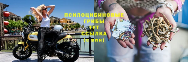 эйфоретик Мегион